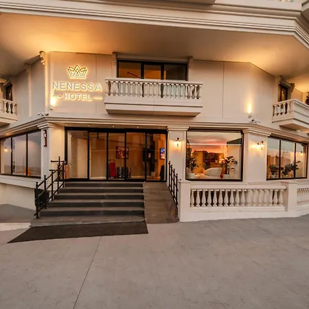 Hotel Nenessa Airport 4*